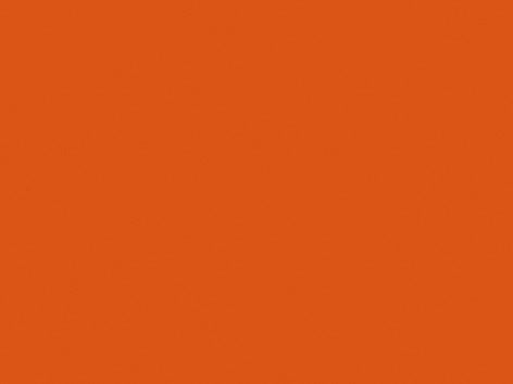 Folia FO-672574 Tekenpapier 50x70cm 130gr Pak A 25 Vel Roodbruin