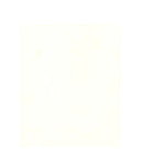 Fotokarton folia beige 50x70cm 300gr pak a 25 vel