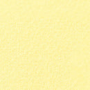 Folia FO-612511 Fotokarton 50x70cm 300gr Pak A 25 Vel Strogeel