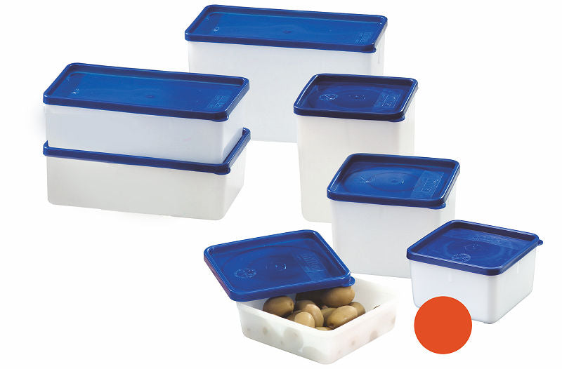 Westmark Diepvriesdozen 0.5L 4 Stuks Blauw/Wit