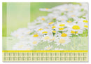 Sigel SI-HO307 Designonderlegger Lovely Daisies,met Jaartal 2023/2024/2025. 4-talig 59.5x41cm, 80 G