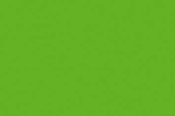 Folia FO-672555 Tekenpapier 50x70cm 130gr Pak A 25 Vel Grasgroen