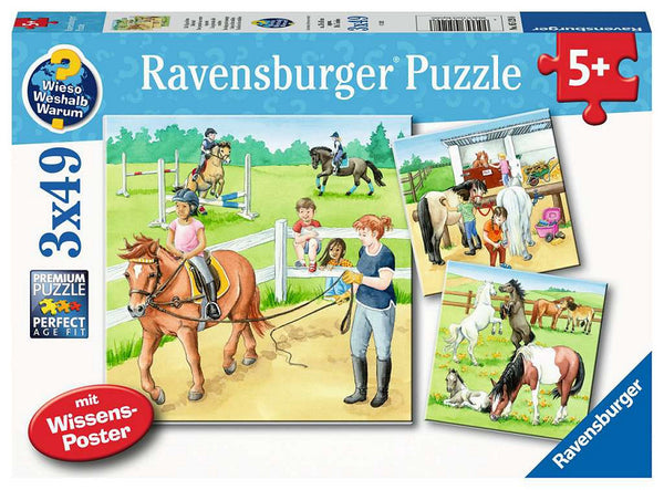 Ravensburger 3in1 Puzzel Paarden 3x49 Stukjes + Poster