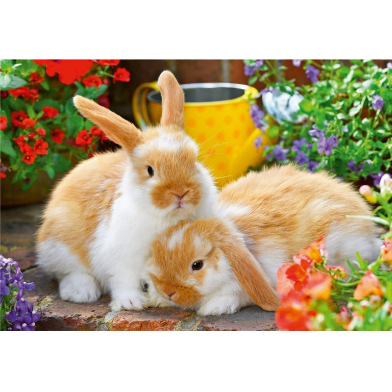 Puzzel 2x12 stukjes Knuffeltijd