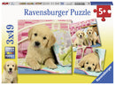Puzzel 3x49 stukjes Schattige hondjes