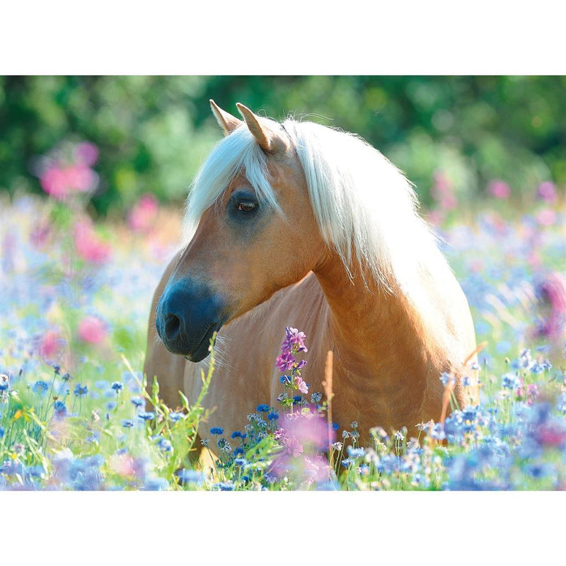 Ravensburger Puzzel Paard Tussen de Bloemen 300 XXL Stukjes