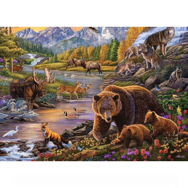 Wildernis, 500st.