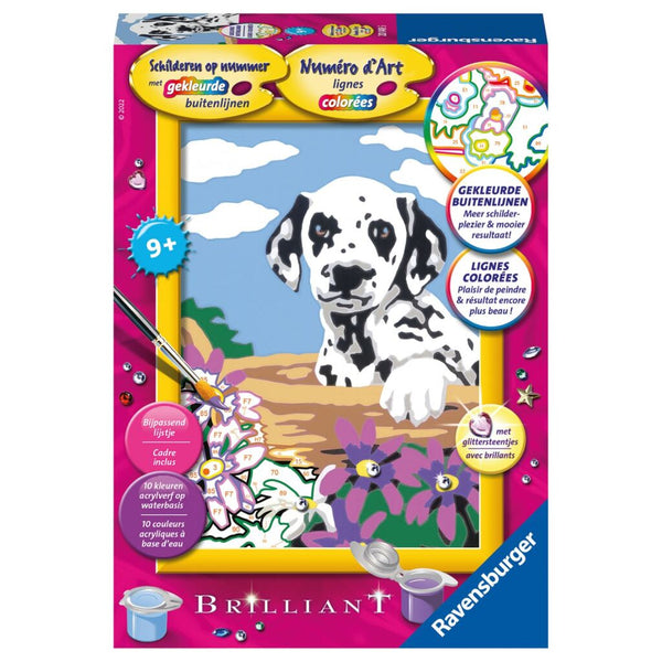 Schilderen op nummer Serie E Dalmatier puppy