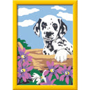 Schilderen op nummer Serie E Dalmatier puppy