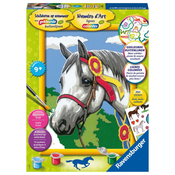 Schilderen op nummer Serie Paarden Racepaard