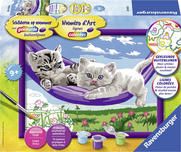 Schilderen op nummer Classic Serie D Kittens in de hangmat