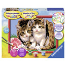 Schilderen op nummer Classic Serie D Katjes in een mand