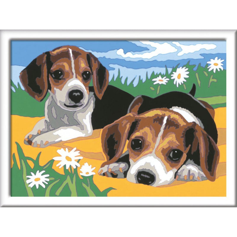 Ravensburger CreArt Schilderen op Nummer Beagle Puppies