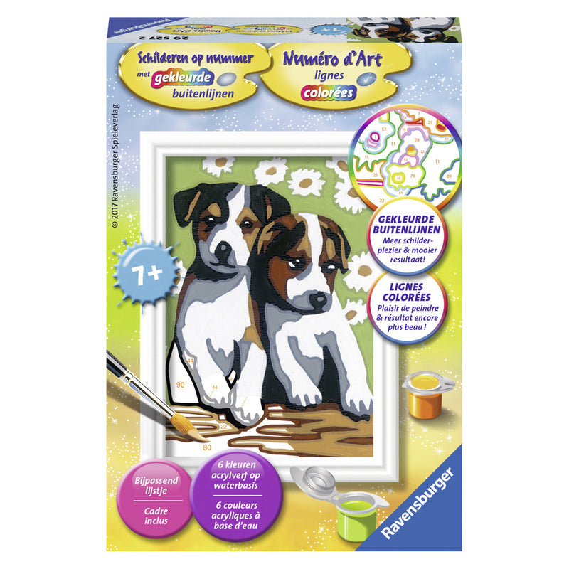 Schilderen op nummer Serie F Schattige puppies