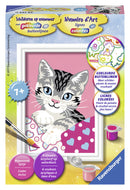 Schilderen op nummer Serie F Poesje