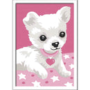 Schilderen op nummer Serie F Chihuahua
