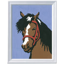 Schilderen op nummer Serie F Paardenblik