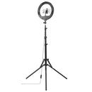 Hama Led-ringlamp SpotLight Steady 120 II Voor Set Smartphone Statief 12?