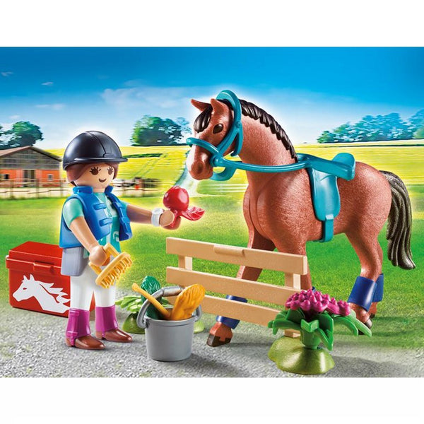 Playmobil 70294 Country Paard en Ruiter Cadeauset