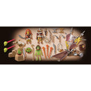 Playmobil 71026 Novelmore Duinsurfers