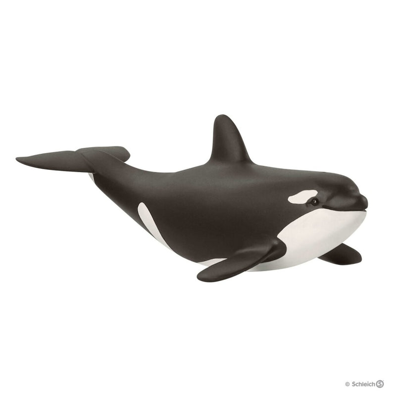 Schleich Baby Orka