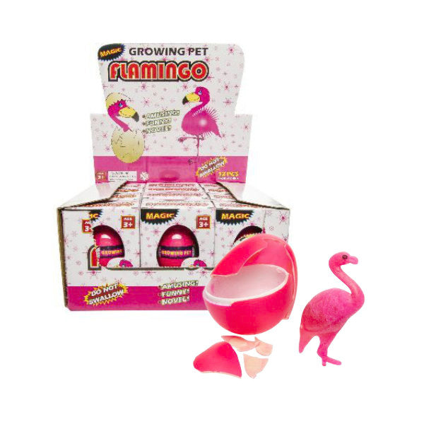 12 groeiende flamingo in ei in disp 9241