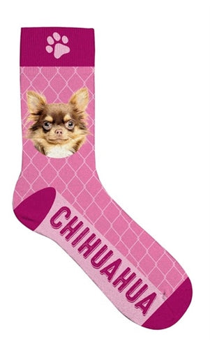 Plenty Gifts Sokken Chihuahua 37-42