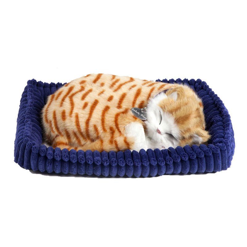 Perfect Petzzz soft Orange Tabby - Knuffeldier Perfect Pet