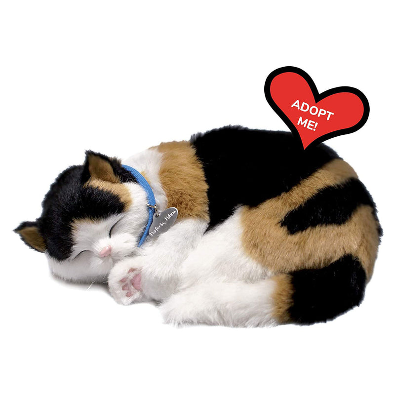 Perfect Petzzz Soft Lapjeskat
