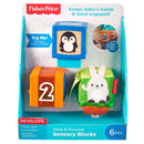 Fisher Price Stapel en Ontdek Blokken 3 Stuks