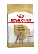 Royal Canin Poodle 1,5 KG