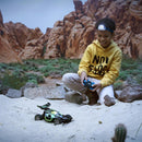 Nikko RC Buggie Neongroen + Licht