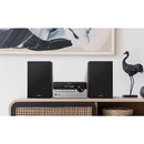 Philips TAM4205/12 Micromuzieksysteem Zilver/Zwart