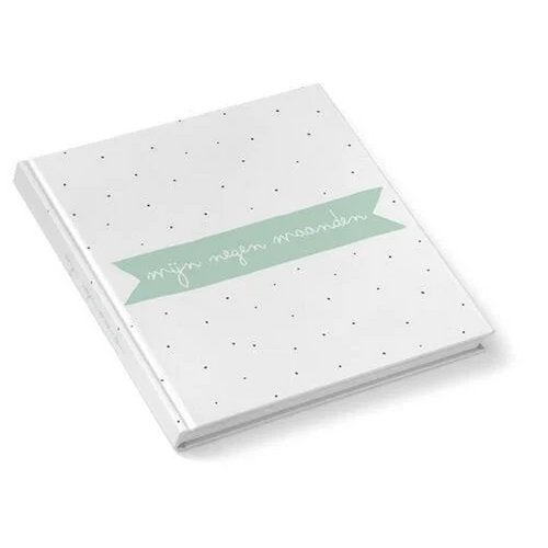 Mijn negen maanden invulboek MINT