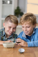 Kidzlabs Geode Kristal groeiset