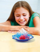 Steam Powered Kids: Crystal Garden