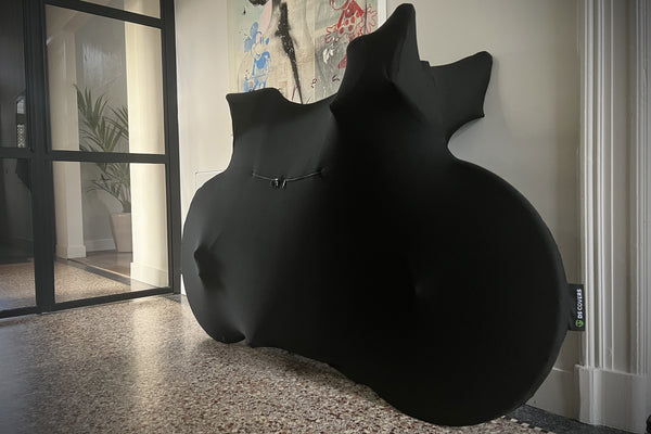 Fietssok DS Covers TRANSPORT - geschikt voor race- of gravelbikes - zwart