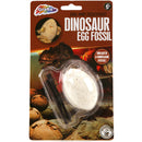 Grafix Dinosaurus Fossiel Uitbikken Assorti