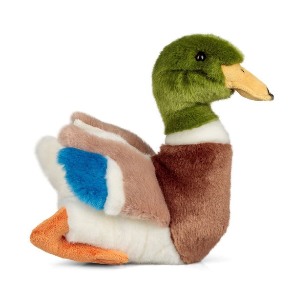 Animigos World Of Nature Eco Knuffel Eend 23 cm