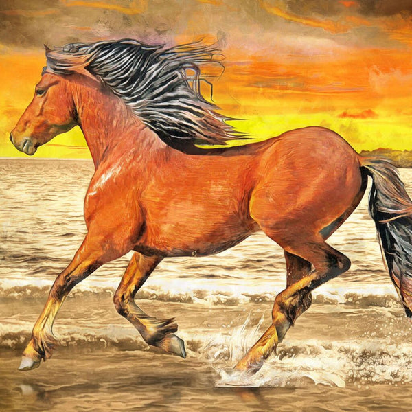 Crystal Art Diamond Painting Paard 30x30 cm