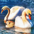 Crystal Art Zwanen + Frame 30x30 cm