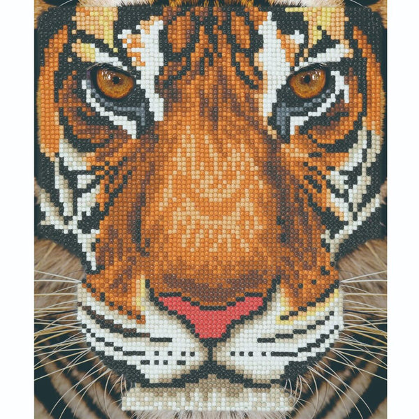 Crystal Art Diamond Painting Tijger 21x25 cm