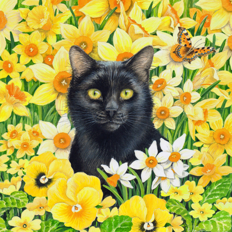 Crystal Art Diamond Painting Kaart Kat 18x18 cm
