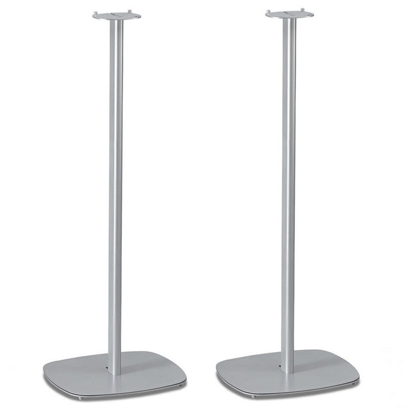 SoundXtra SDXHKCSR2091 Citation Surround Standaards 2 Stuks Zilver