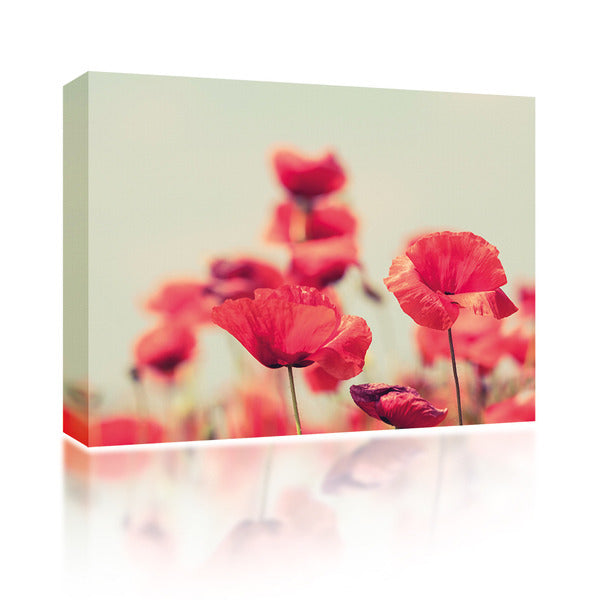 Sound Art Canvas + Bluetooth Speaker Poppies