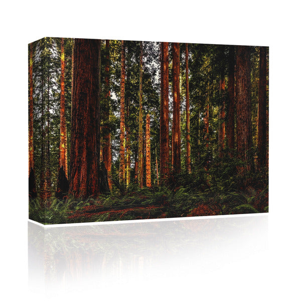 Sound Art Canvas + Bluetooth Speaker Trees In The Forest