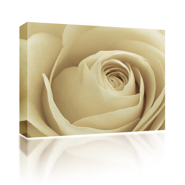 Sound Art Canvas + Bluetooth Speaker Cream Rose