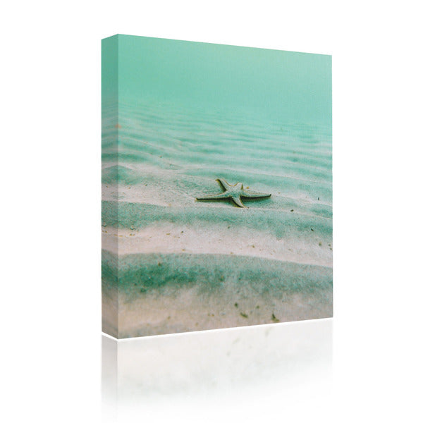 Sound Art Canvas + Bluetooth Speaker Starfish On The Sand