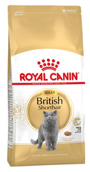 Zzzroyal Canin British Shorthair 4 KG