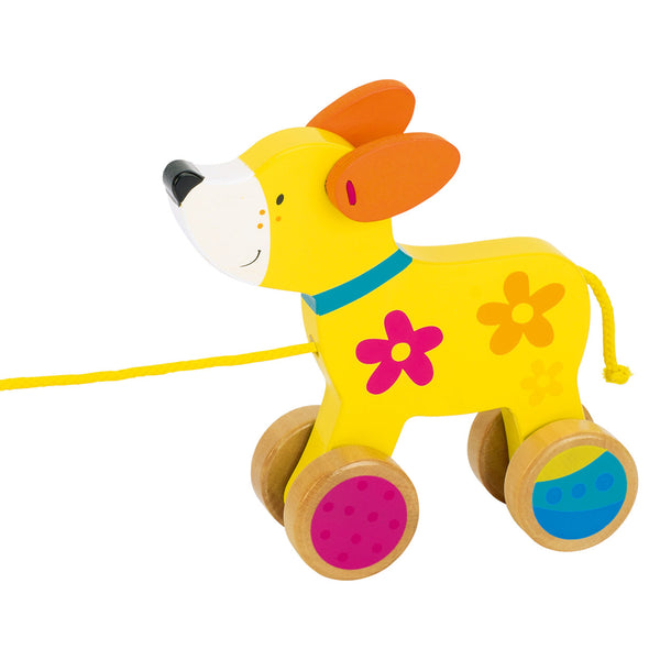 Susibelle Trekdier Hond